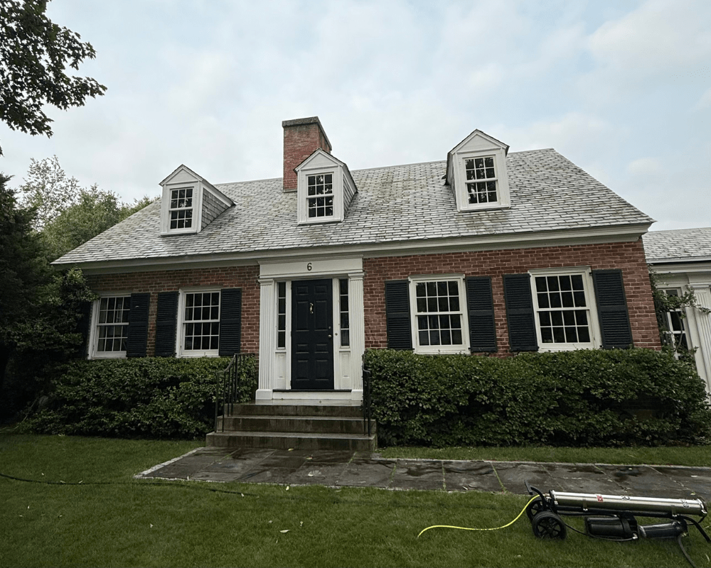 Window Wizards gallery 5